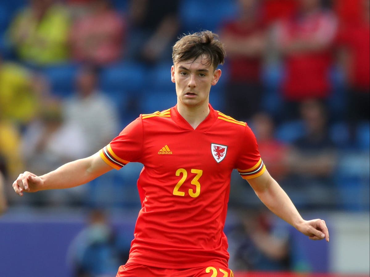 Dylan Levitt inspired by Wales’ 2016 heroes ahead of Euro 2020 Dylan Levitt inspired by Wales’ 2016 heroes ahead of Euro 2020
