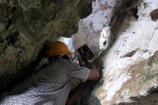 Salt erosion destroying world’s oldest cave painting at rapid pace