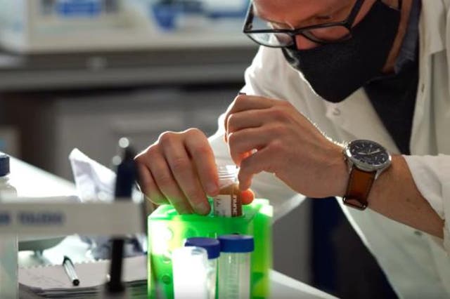 <p>Researchers have created a plant-based material that could replace single-use plastics in many consumer products.</p>