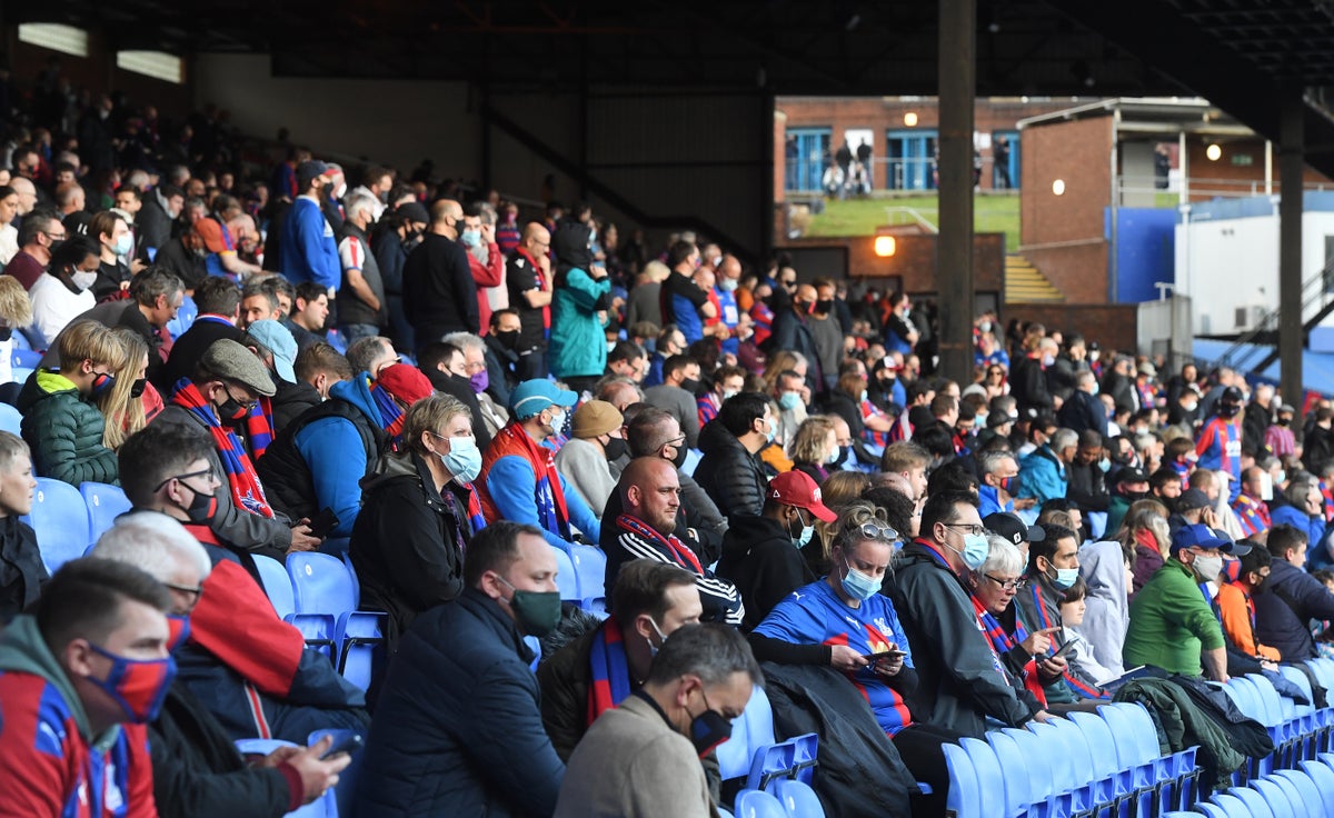 Importance of fans has grown during pandemic, former Crystal Palace chief claims