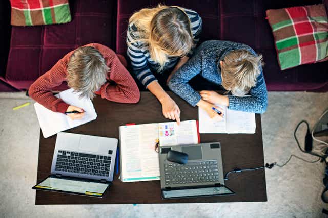 <p>In a survey of 322 parents , those who engaged in catastrophising reported feeling more stressed when homeschooling their children</p>