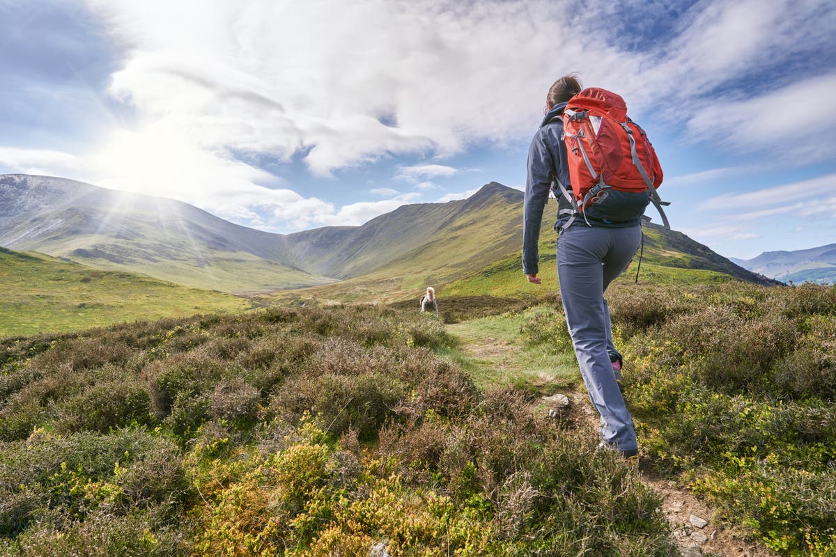 Hiking isn’t just good for your body, it’s good for your mind too