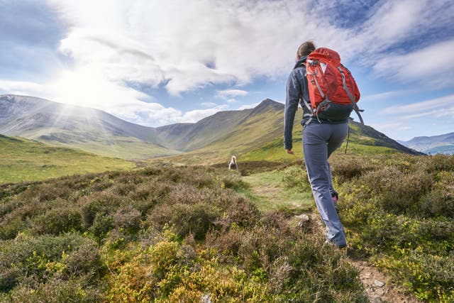 <p>Hiking is also beneficial even for those with pre-existing health conditions and chronic diseases such as dementia, type 2 diabetes</p>