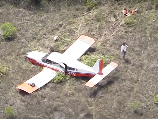 <p>Two men crashed a plane in the Florida Everglades while flying across the state to a taco food truck. </p>