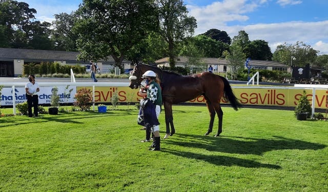 <p>Real Appeal following his Leopardstown win</p>