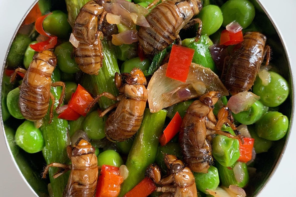 Cicada nymph salad: asparagus, peas, chili, garlic, butter, mint, lemon