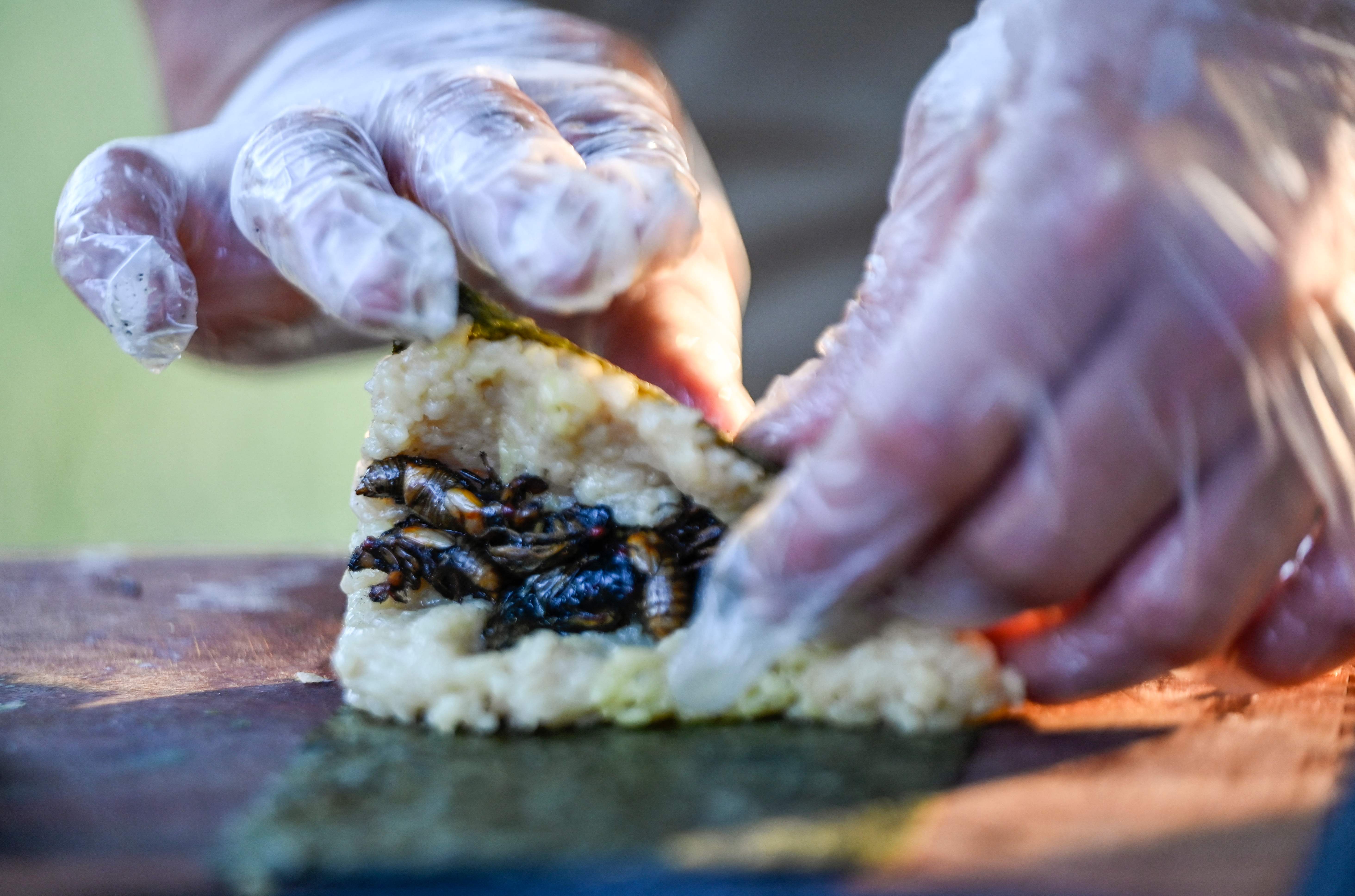 Fried cicadas are rolled into a sushi roll by Bun Lai