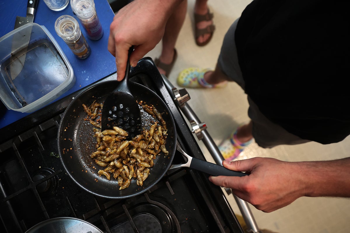 Cicadas harvested recently after they emerged from the ground this year are fried in a dish