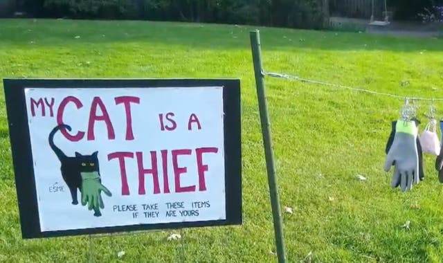 <p>Cat owner posts up sign asking neighbours to reclaim items stolen by her thieving pet</p>