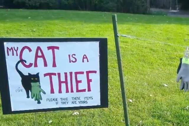 <p>Cat owner posts up sign asking neighbours to reclaim items stolen by her thieving pet</p>