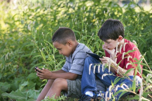 Two boys sitting in a field