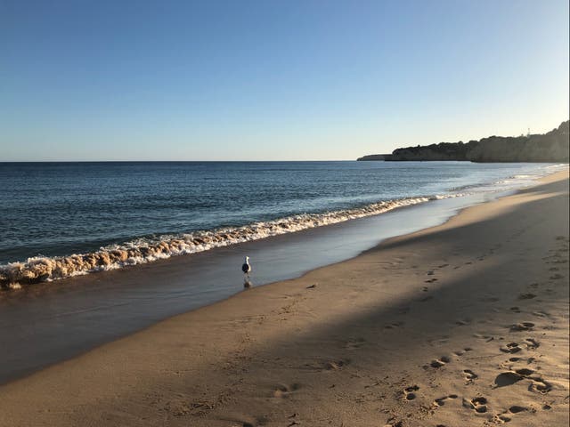 <p>Lonely planet: a beach on the Portuguese Algarve</p>