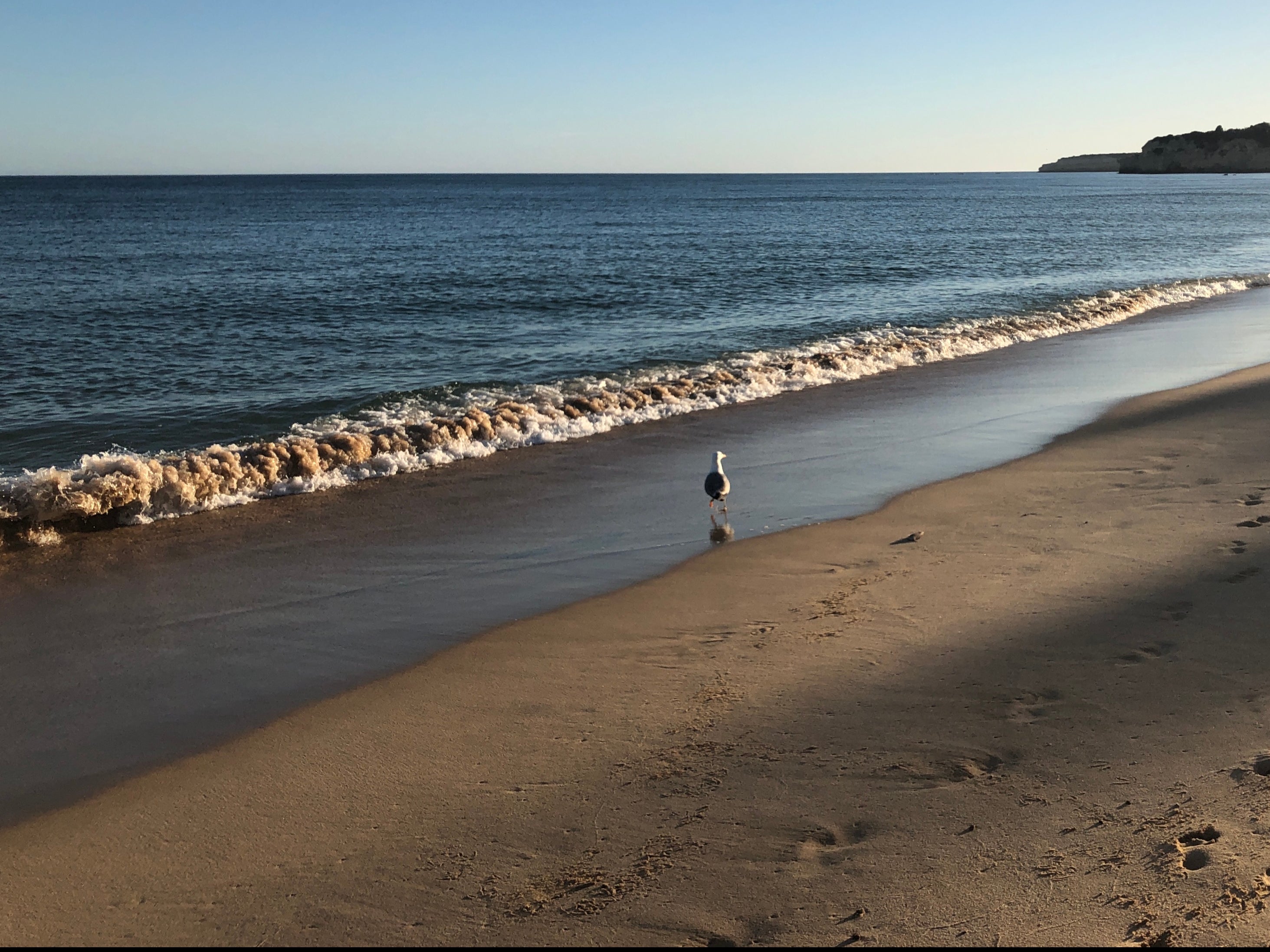 Lonely planet: a beach on the Portuguese Algarve