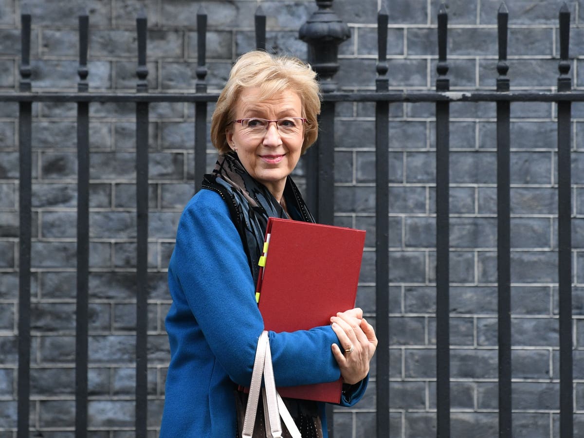 Brexiteers lead political recipients in Queen’s birthday honours