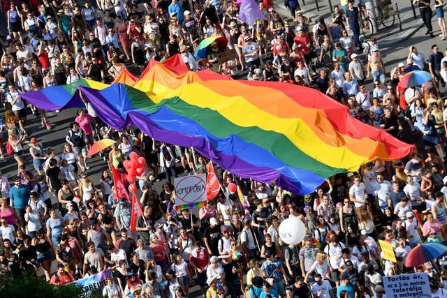 <p>People march with giant rainbow flag in Pride Parade in Budapest in 2019</p>