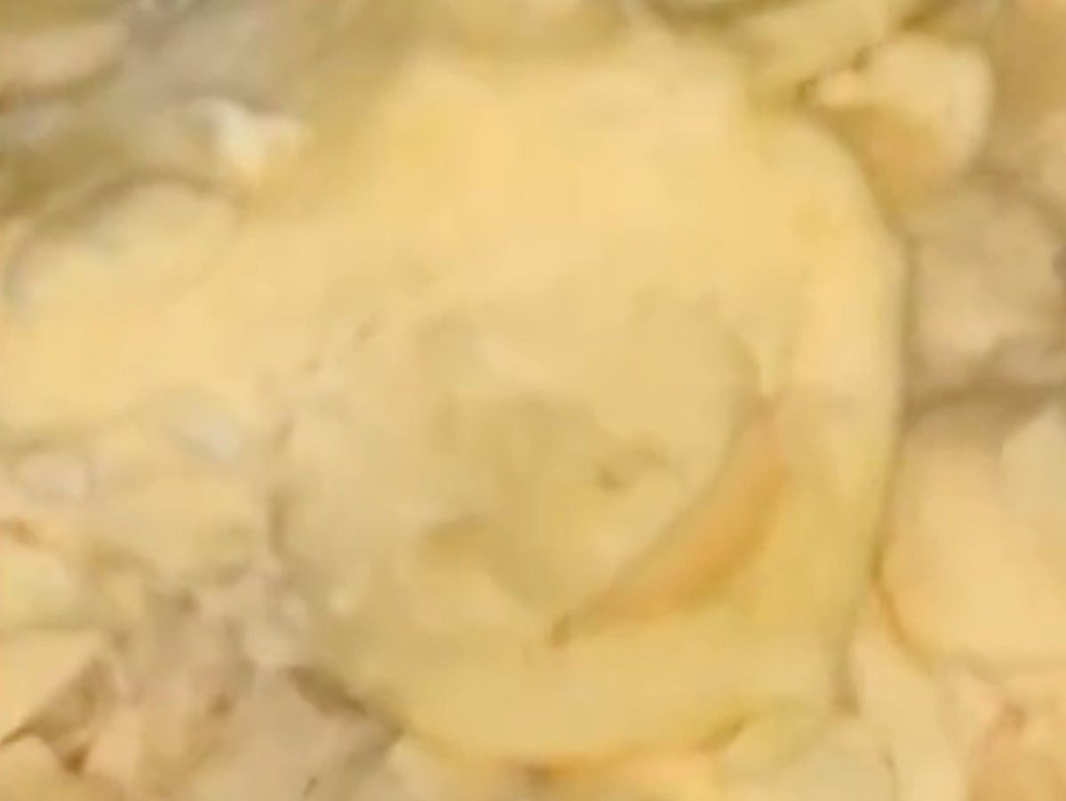 This Viral Video Might Put You Off Hotel Buffet Eggs For Life Indy100