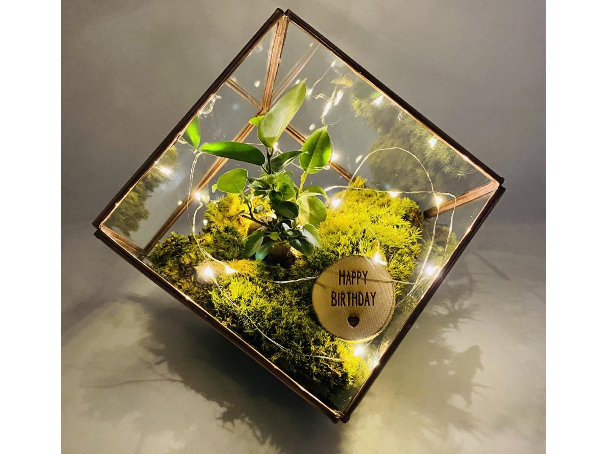 The Urban Botanist birthday bonsai gin copper terrarium indybest.jpeg