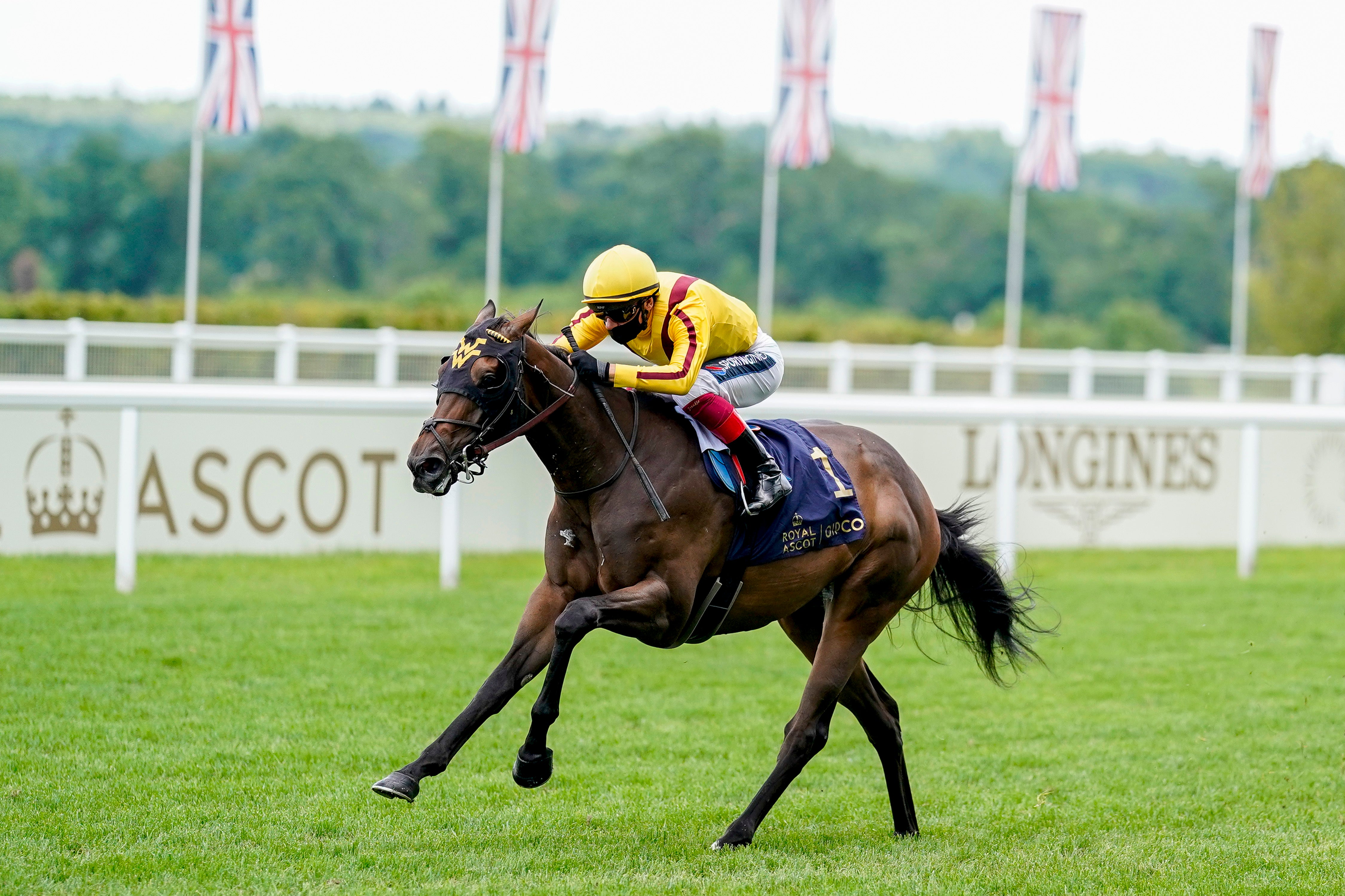 Campanelle is back at Ascot