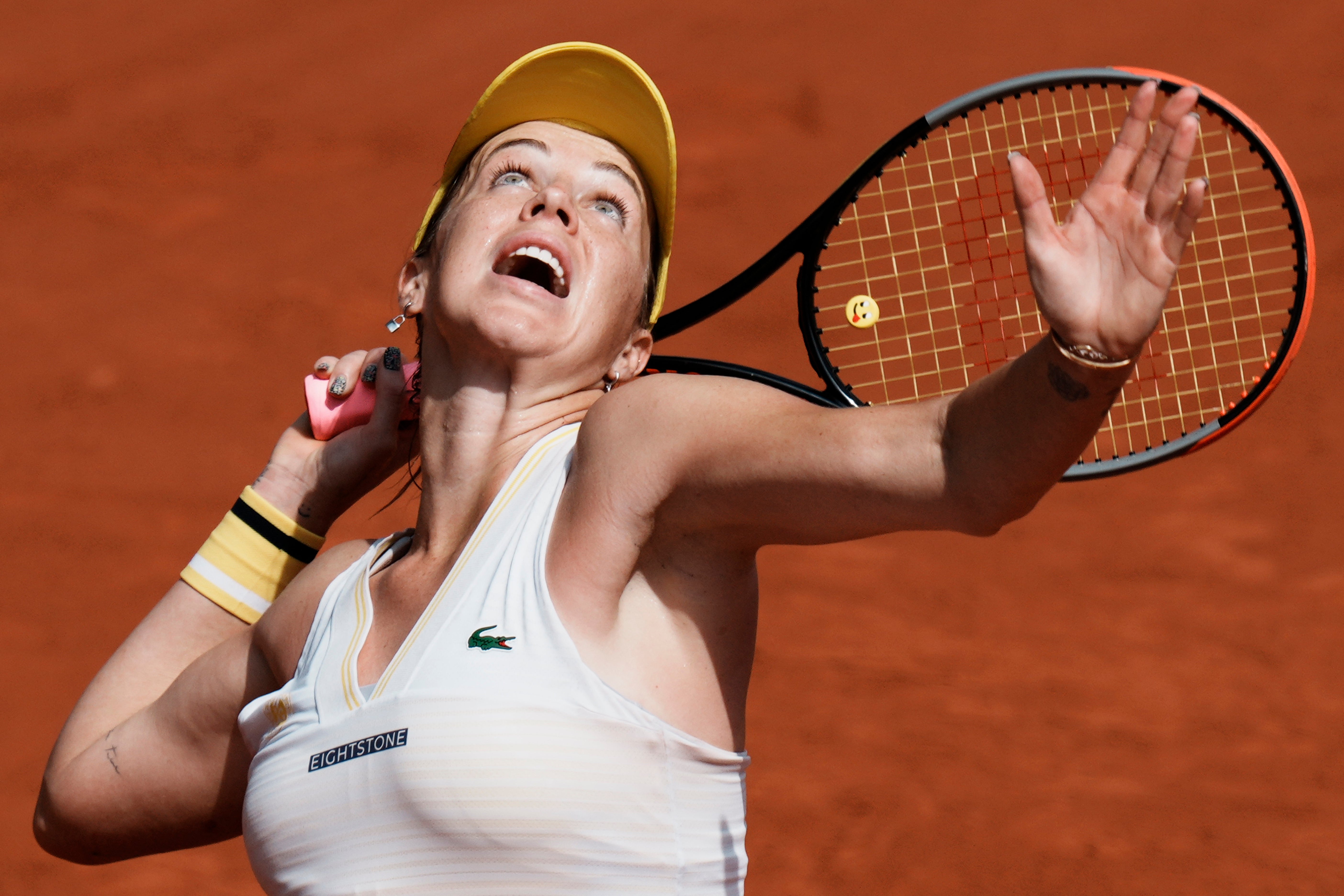 Anastasia Pavlyuchenkova came up just short