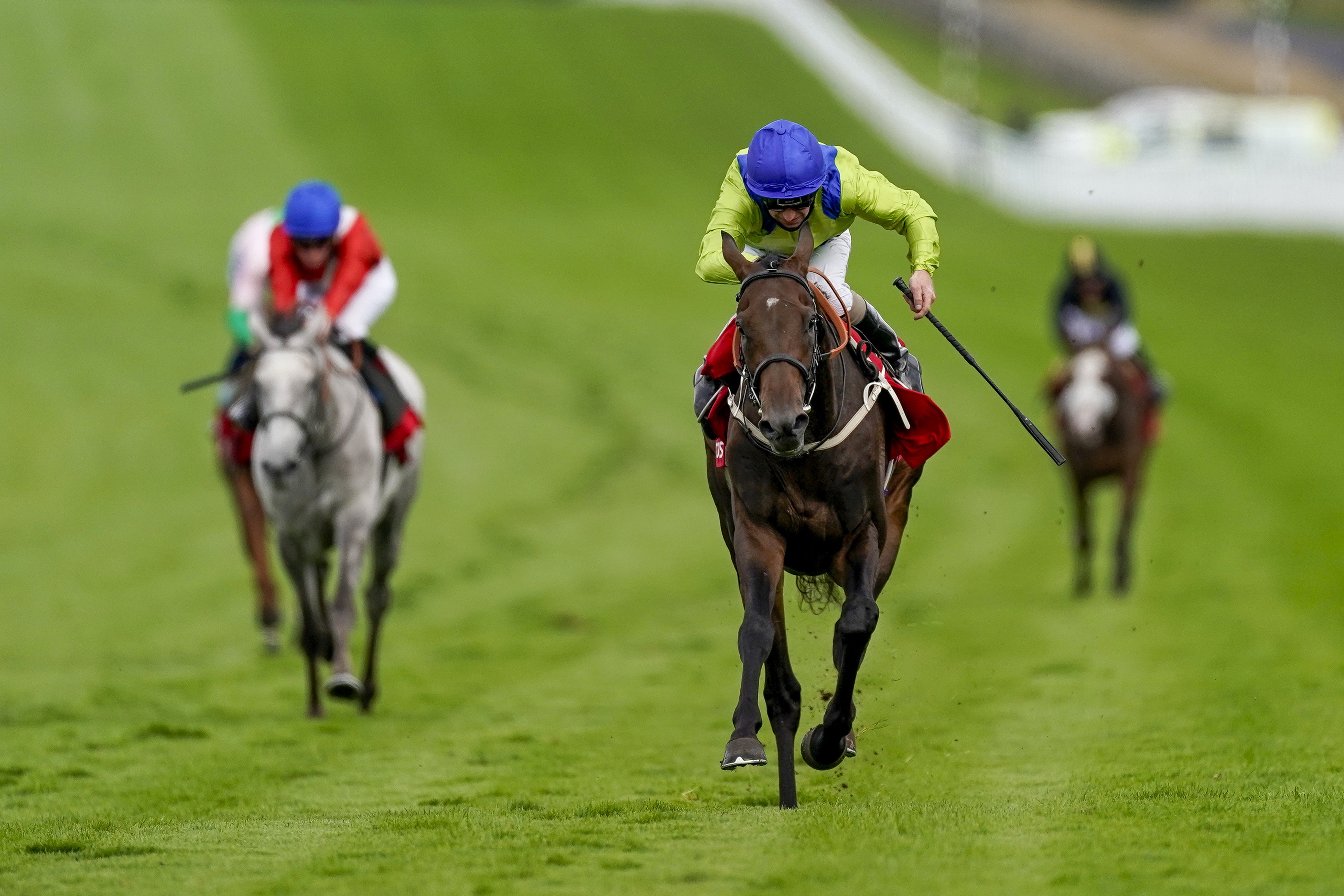 Subjectivist gave connections a scare when falling on the way to the gallops