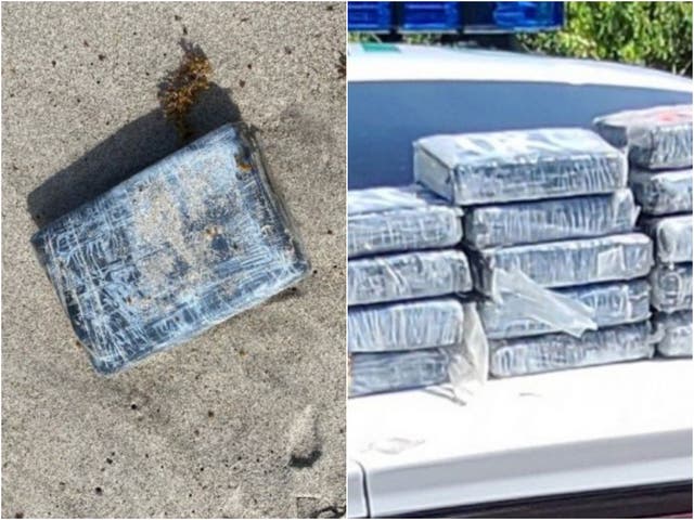 <p>Un total de 24 paquetes de cocaína fueron arrastrados a una playa en la costa este de Florida.</p>