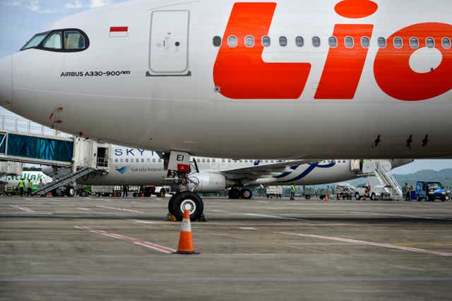 <p>Helmud Hontong was onboard a Lion Air flight when he was taken ill</p>