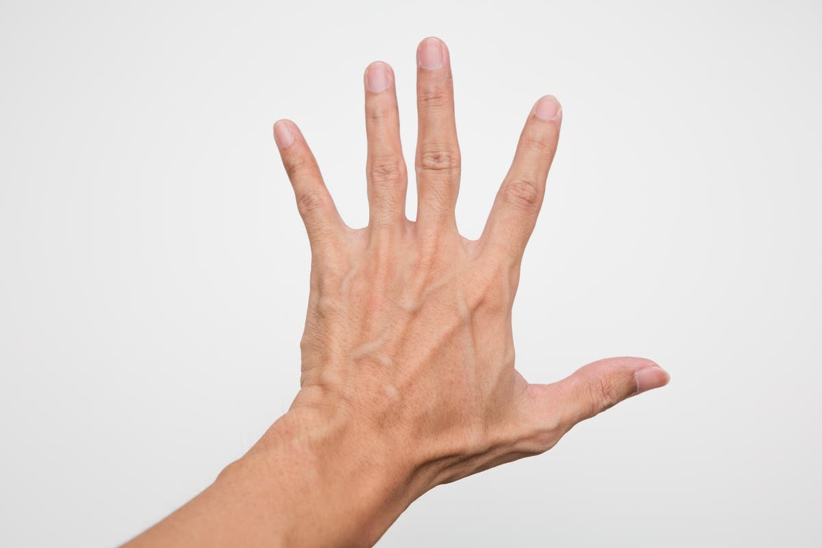 From how many veins there are in the body to why men have Adam’s apples