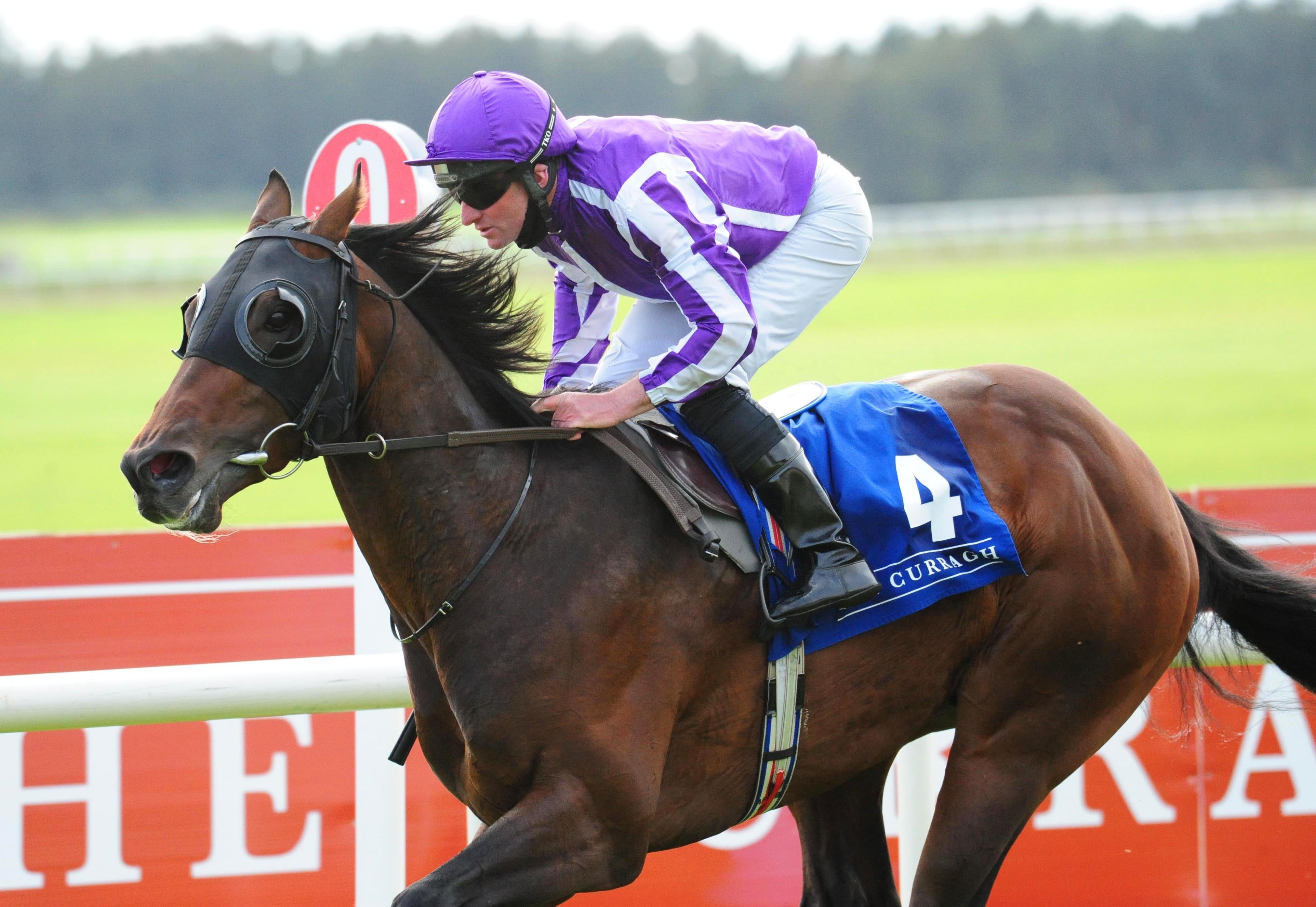 Order Of Australia is one of two runners for Aidan O'Brien