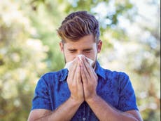 Why is hay fever so bad this year?