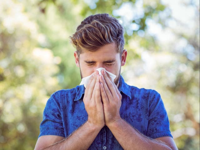 <p>Hay fever sufferers have complained of worsened symptoms this year, which could be caused by a number of factors</p>