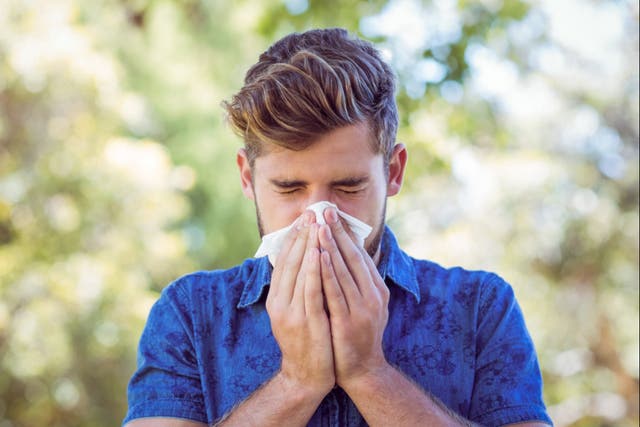 <p>Hay fever sufferers have complained of worsened symptoms this year, which could be caused by a number of factors</p>