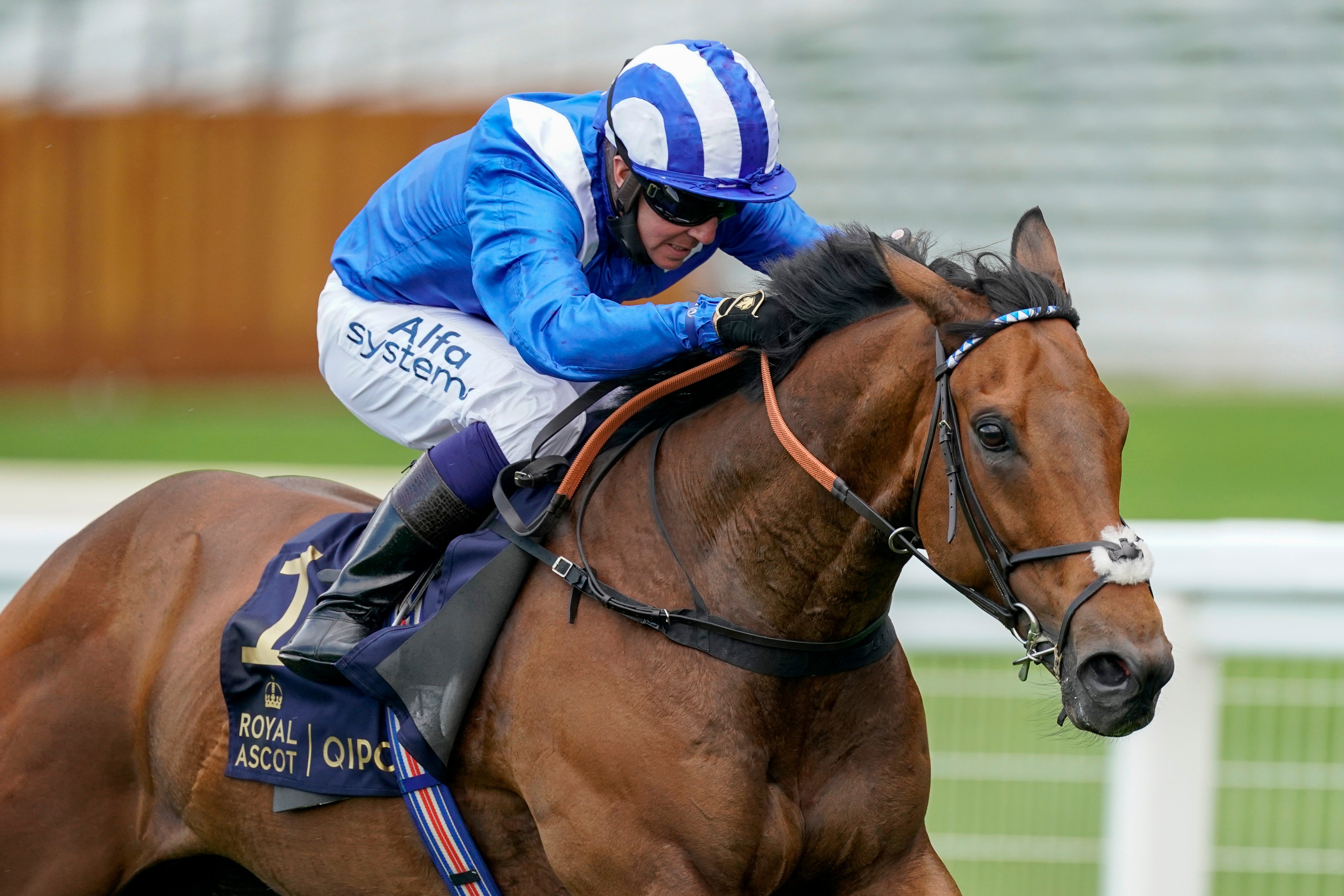 Battaash and Jim Crowley will be a familiar sight if they win a second successive King’s Stand Stakes at Royal Ascot