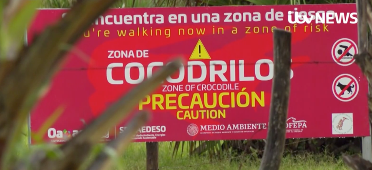 A crocodile warning sign on a Mexican beach. Local authorities are said to have increased surveillance of the area since the attack