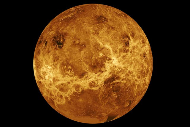 <p>Venus, drawn from composite of data from Nasa’s Magellan spacecraft and Pioneer Venus Orbiter</p>