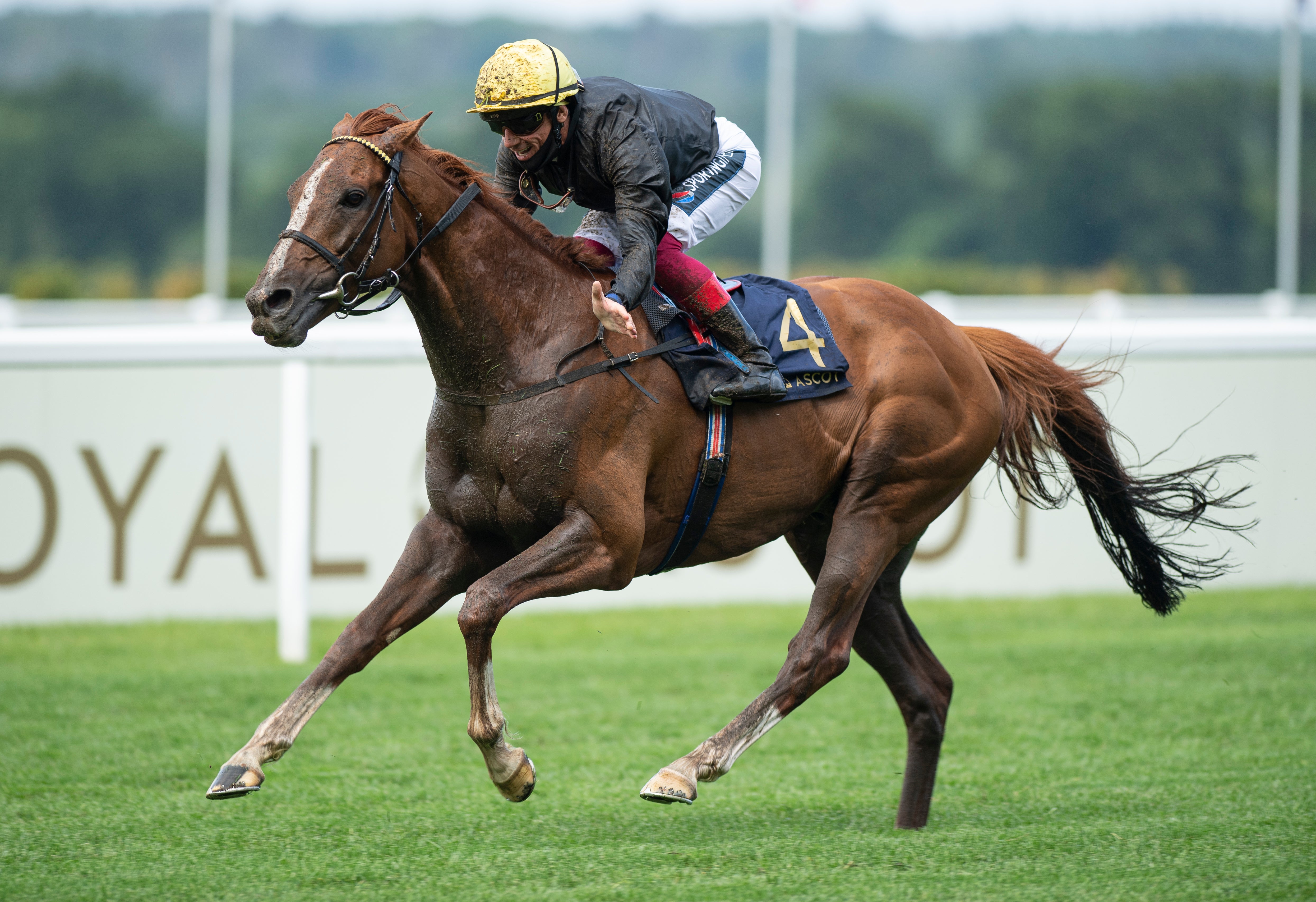 Stradivarius will bid to win a record-equalling fourth Gold Cup at Royal Ascot on Thursday