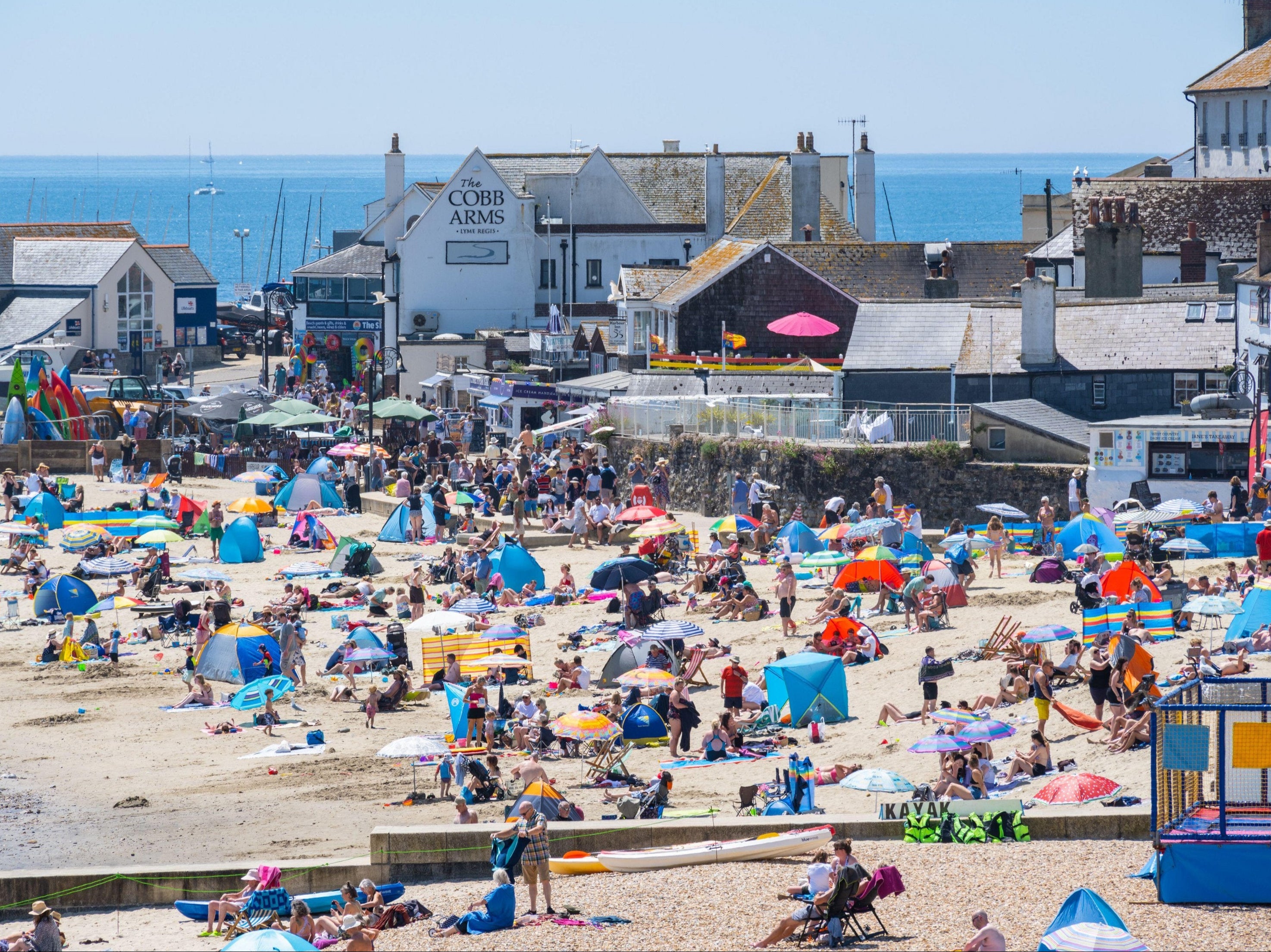 Covid lockdown news – live: ‘Boris Johnson variant’ surge in UK is due to PM’s border failures, says Labour