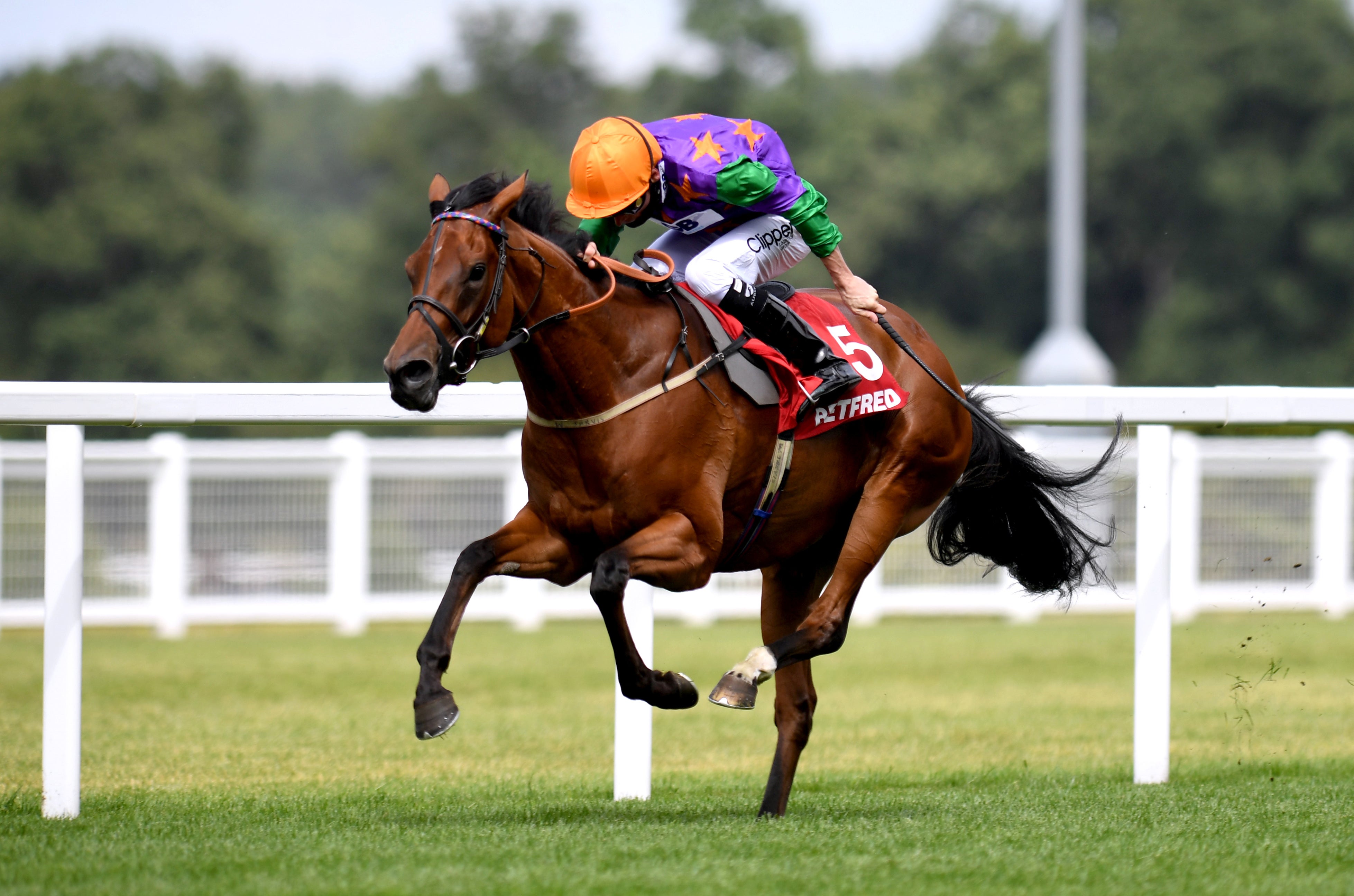 Lady Bowthorpe, ridden by jockey Kieran Shoemark, wins the Betfred Valiant Fillies’ Stakes at Ascot Racecourse