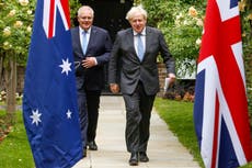 Tariffs axed immediately on Australian beef and lamb, triggering fears that farmers will be sent ‘to the wall’