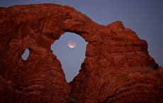 US Park service sued after gate kills Ugandan humanitarian