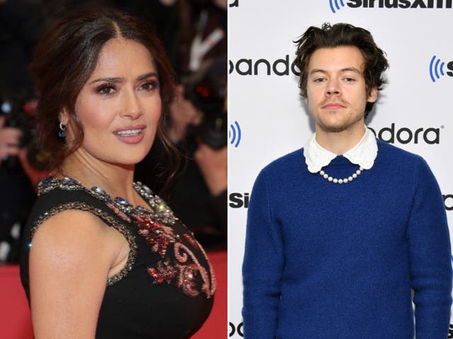 <p>Salma Hayek says her pet owl vomited a ‘ball of rat hair’ on Harry Styles</p>