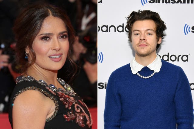<p>Salma Hayek says her pet owl vomited a ‘ball of rat hair’ on Harry Styles</p>