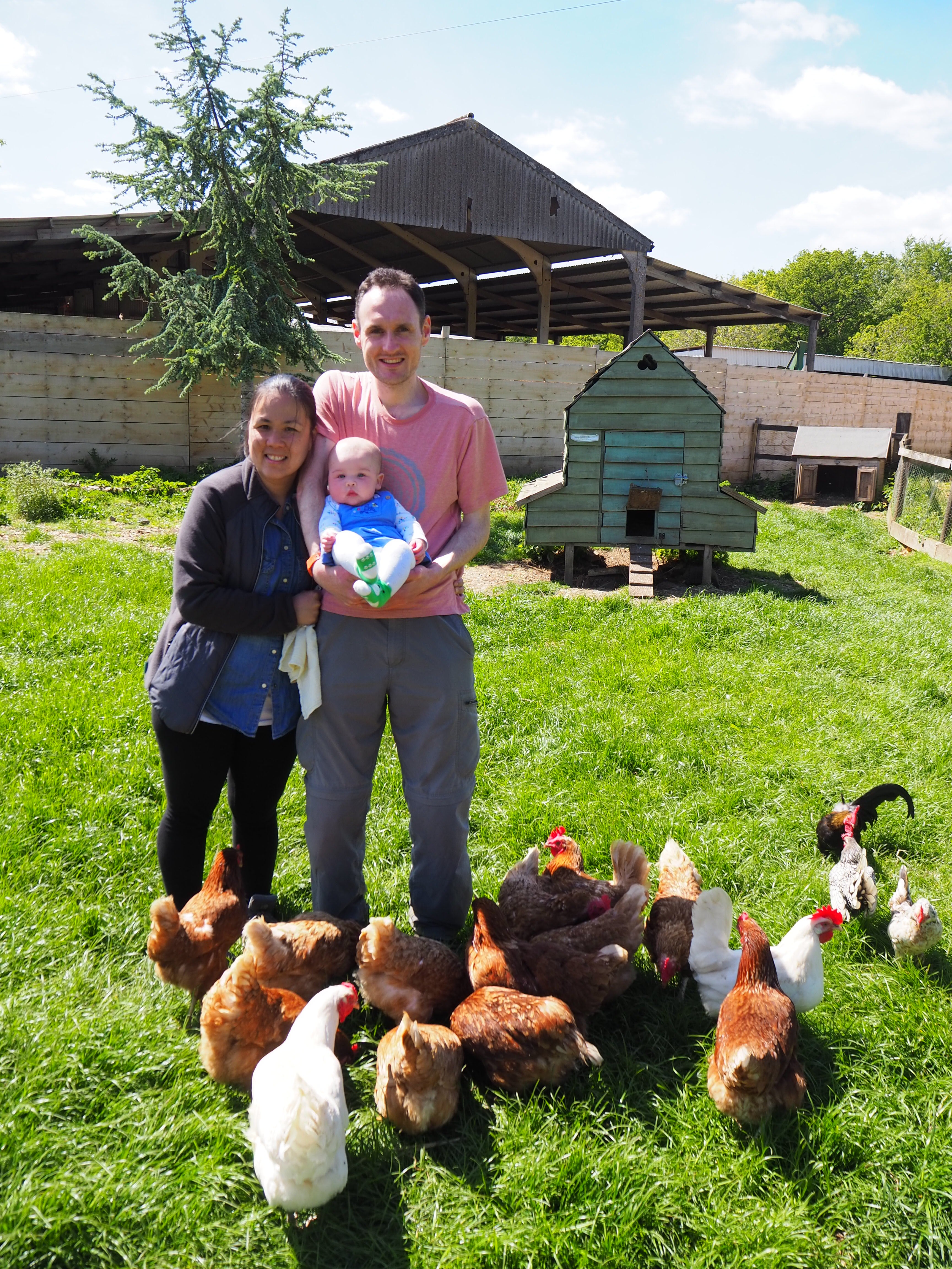 Meeting the chickens at Midgham Farm (Neil Lancefield/PA)