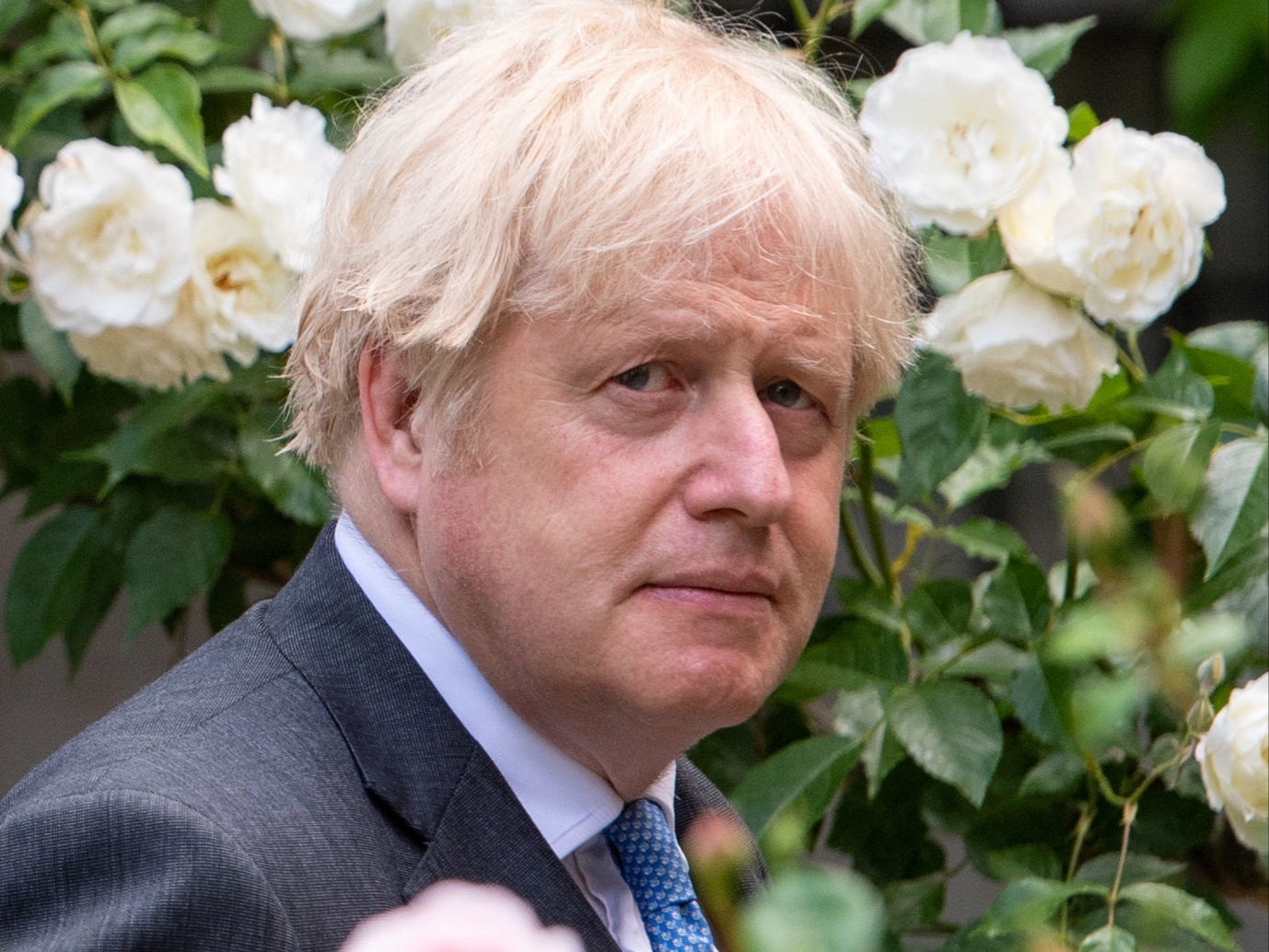 <p>Boris Johnson in the garden of 10 Downing Street</p>
