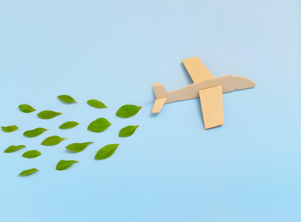 Wooden airplane model emitting fresh green leaves on blue background. Sustainable travel; clean and green energy; and biofuel for aviation industry (Alamy/PA)