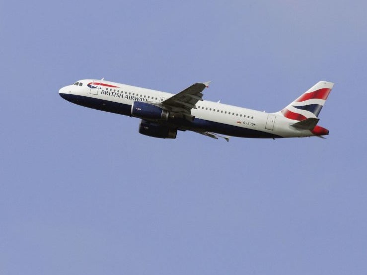 <p>Four new domestic routes will run from this summer</p>