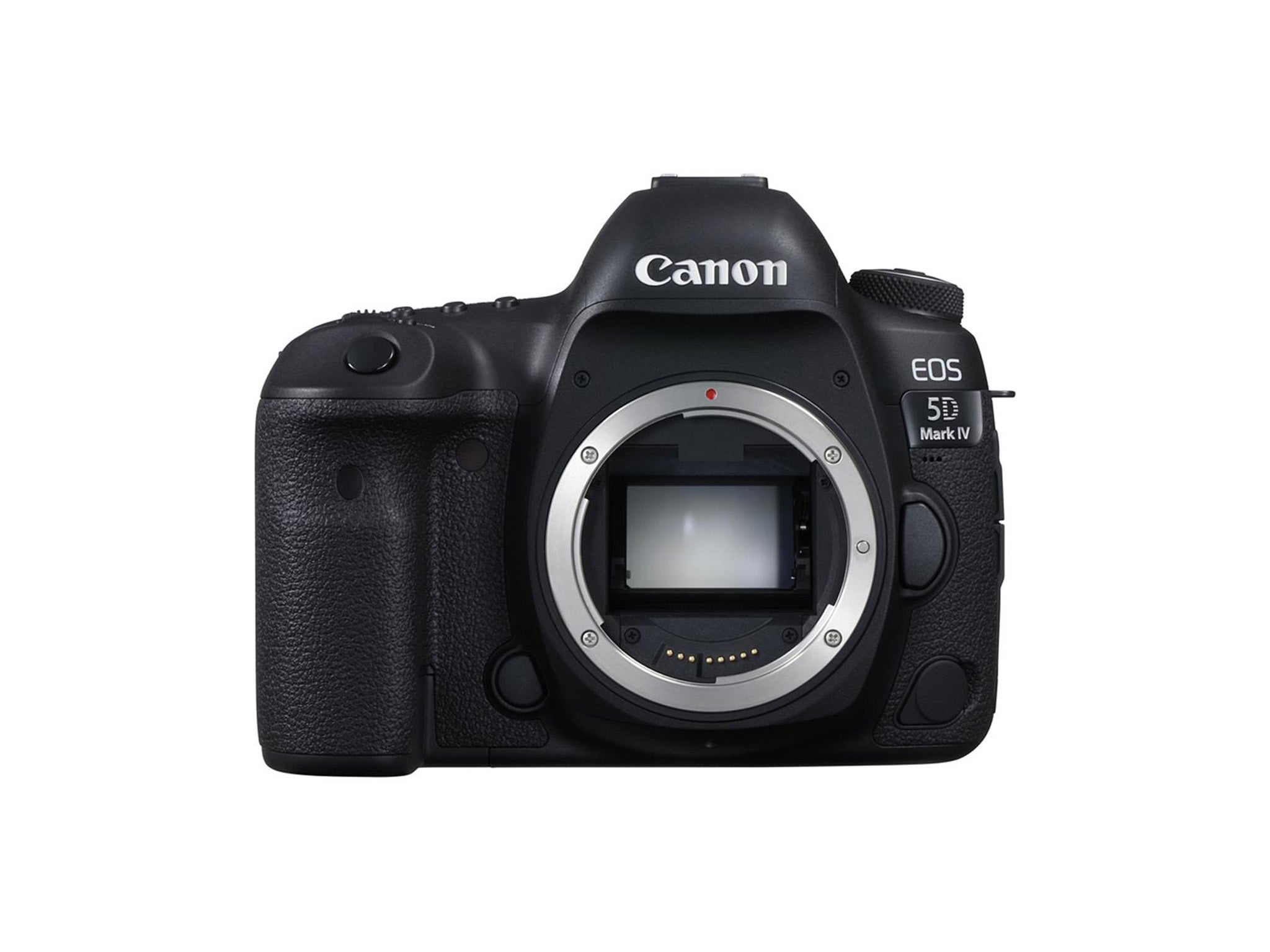 Canon 5D .jpg