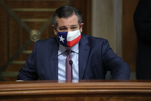<p>Ted Cruz (R-TX) preside una audiencia sobre “violencia anarquista” en el edificio de oficinas del Senado Dirksen en Capitol Hill el 4 de agosto de 2020.</p>