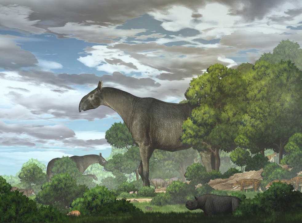 <p>Ecological reconstruction of giant rhinos and their accompanying fauna in the Linxia Basin during the Oligocene</p>