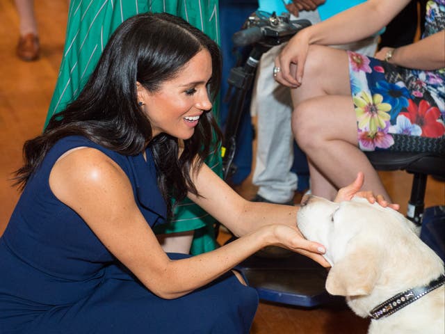 <p>Meghan, duquesa de Sussex, acaricia a un perro guía en Australia</p>