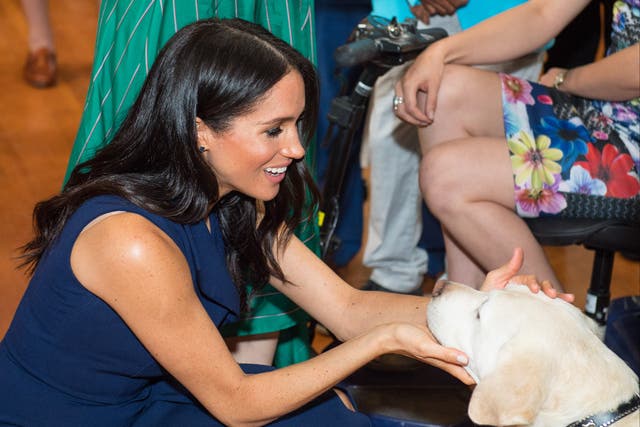 <p>The Duchess of Sussex pats a guide dog in Australia</p>